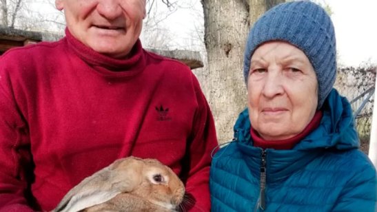 Пансионат «Волжский» фото 9