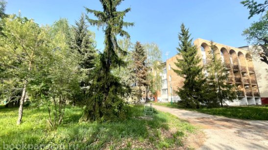 Пансионат «Зеленая роща» фото 4